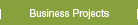 Business Projects